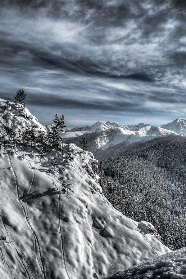 Willa Zbikowka Zakopane Extérieur photo